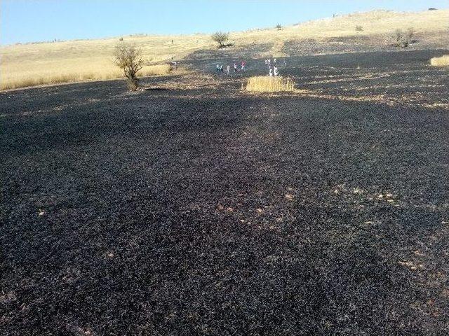 Güvencinin Yaptığına Bak