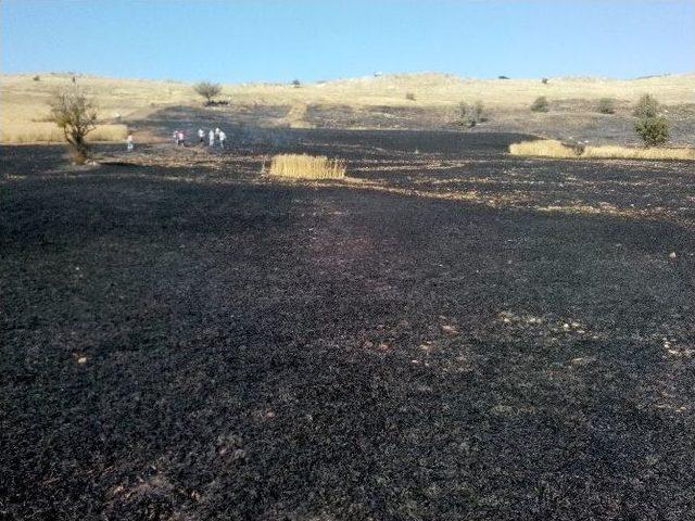 Güvencinin Yaptığına Bak