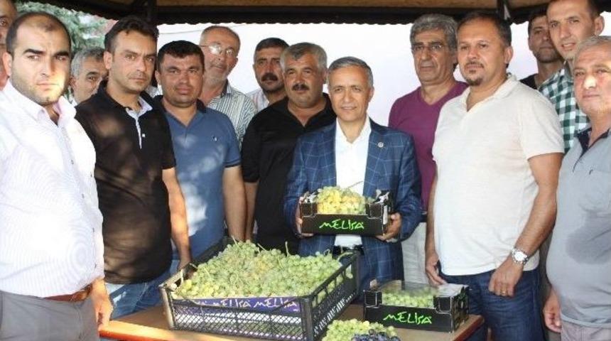 Yaş &Uuml;z&uuml;mde Destek Primi İki Kat Arttı