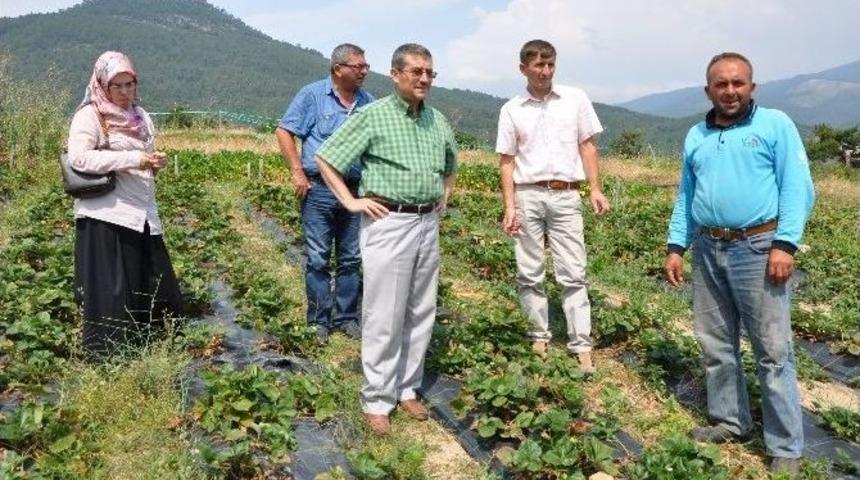 Kırsaldaki Kadın &Ccedil;ift&ccedil;iler Eğitimle Daha Da G&uuml;&ccedil;lendirilecek