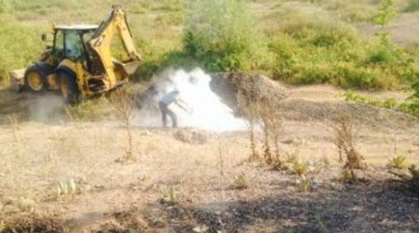 Niksar&rsquo;da &Ccedil;i&ccedil;ek Hastalığı Karantinası