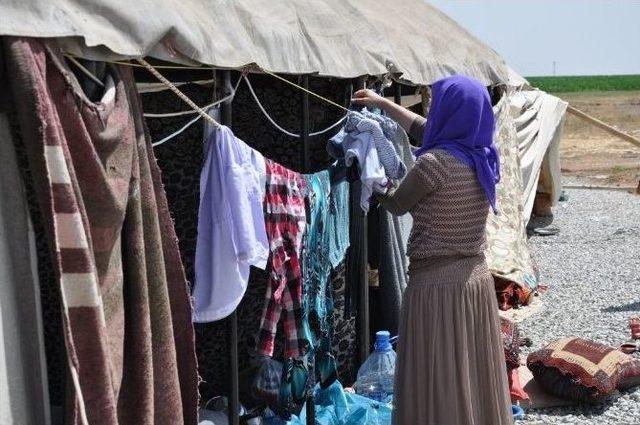 Eski Dep Milletvekili Alınak’tan Yezidilere Ziyaret