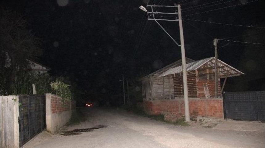 Fındıkların Başında T&uuml;fekle N&ouml;bet Tutuyorlar