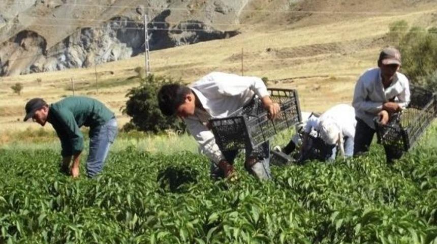 &Uuml;niversiteyi Bitirdi &Ccedil;ift&ccedil;i Oldu