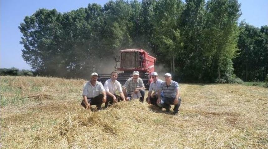 Tarımda 2014 Yılı Temmuz Ayı Faaliyetleri Açıklandı