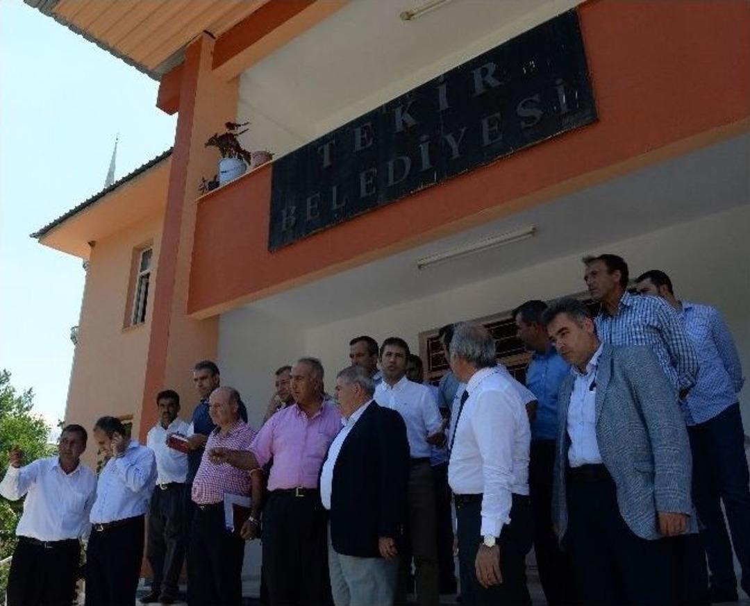 Tekir&rsquo;in Geleceği Planlandı