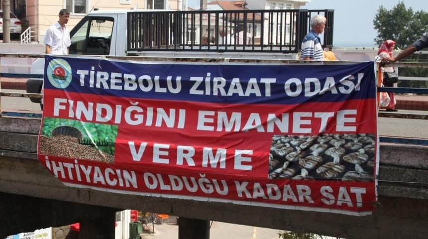 Tirebolu Ziraat Odası Başkanı Yaman: