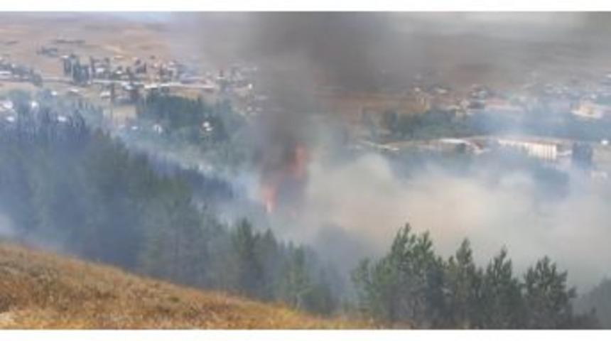 Sivas&rsquo;ta Hatıra Ormanında Yangın &Ccedil;ıktı