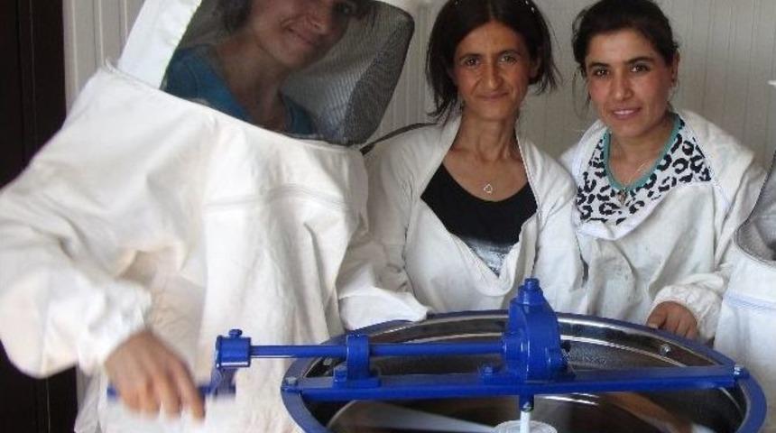 Vanlı Girişimci Kadınlar Petek Petek Umut Projesinde