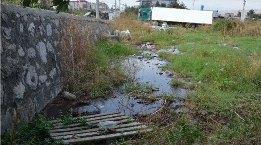 Kanalizasyon Suları Yola Akıyor