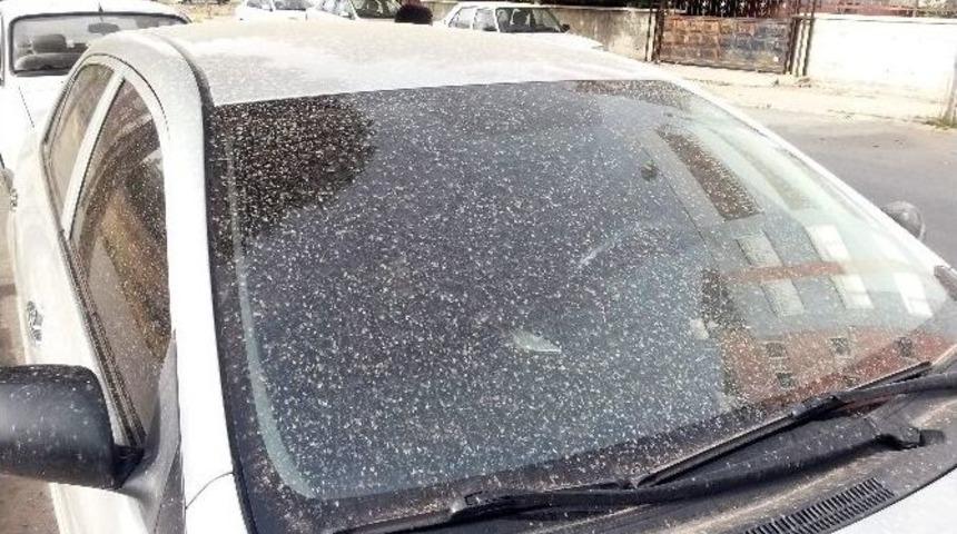 Adıyaman&rsquo;da Toz Bulutu Ve &Ccedil;amur Yağışı