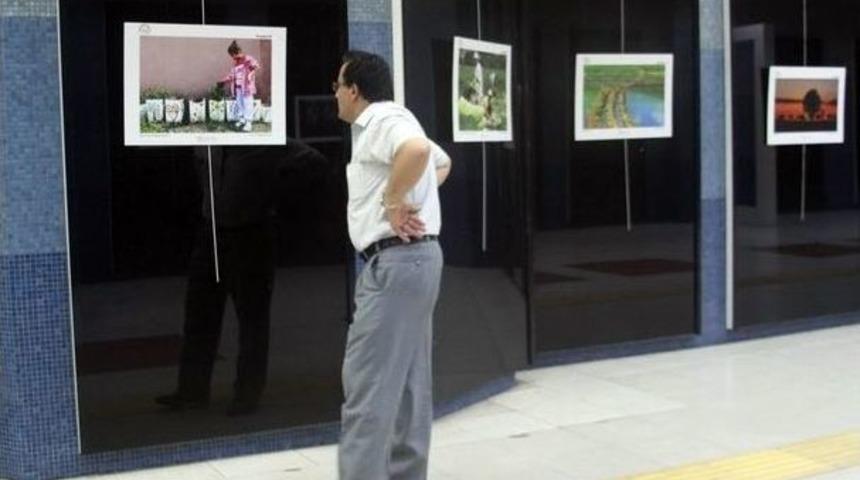 Tarım Ve İnsan Fotoğrafları Metro Sanat Galerisinde