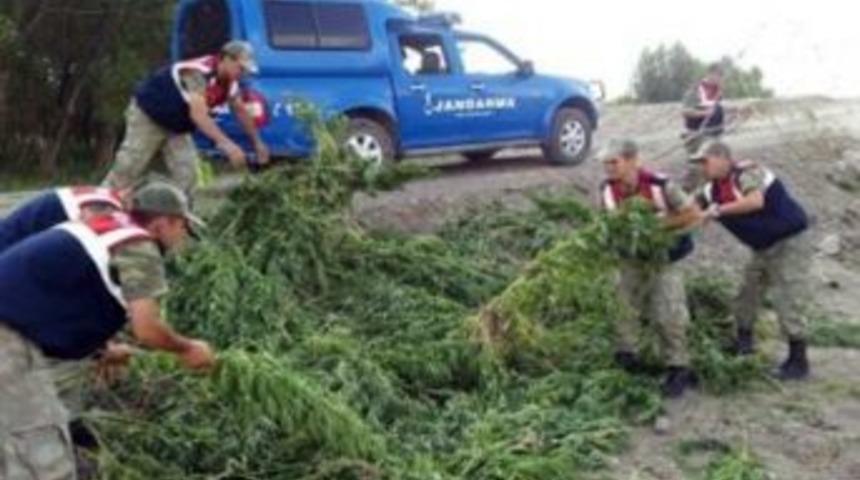 Pasinler&rsquo;de Hint Keneviri Operasyonu