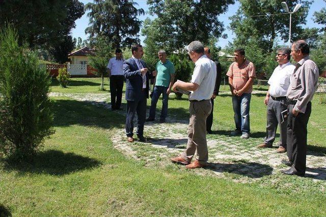 Kavak'ta Park Yapımı Ve Düzenleme Projesi