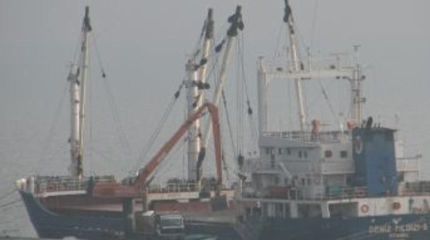 Ordu İskelesi’nden 7 Ayda 66 Milyon Dolarlık İhracat