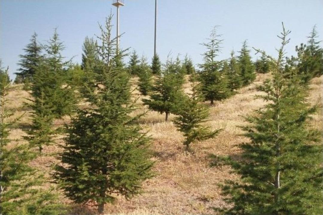 Hacı Bektaş&rsquo;ı Bu Yıl 2 Bin 400 Can Ziyaret Etti