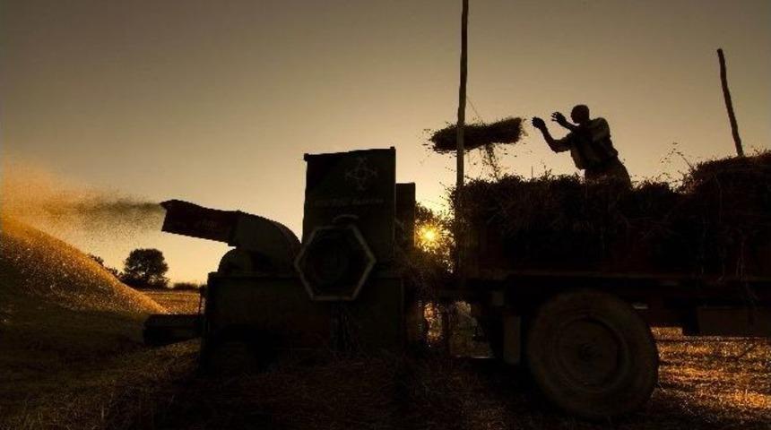 &ldquo;tarım Ve İnsan&rdquo; Sergisi Samsun Piazza&rsquo;da