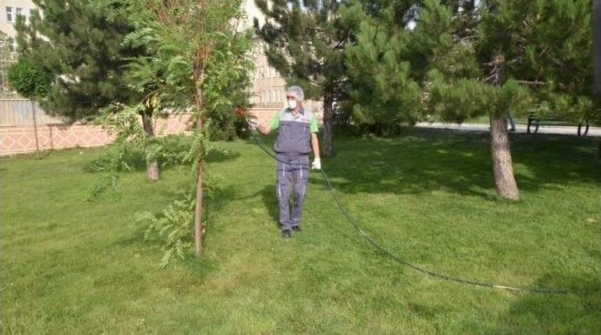 Paland&ouml;ken Belediyesi, Parklar Da İla&ccedil;lama &Ccedil;alışması Başlattı