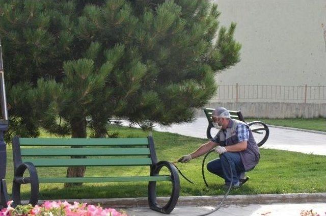 Palandöken Belediyesi, Parklar Da İlaçlama Çalışması Başlattı