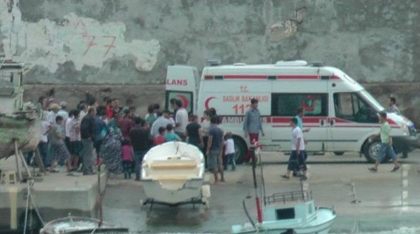 Balık&ccedil;ı Barınağında Gezen Fındık İş&ccedil;isi Yaralandı