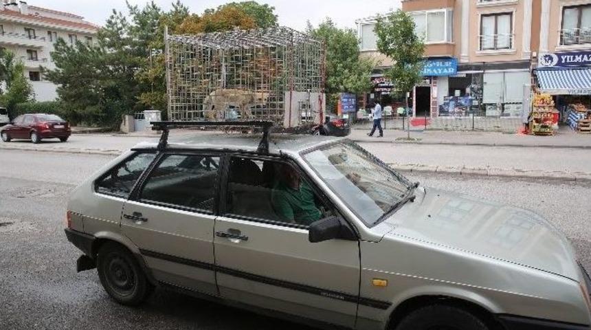 G&ouml;lbaşı&rsquo;nda Kuduza Karşı Ağızdan Aşılama Kampanyası