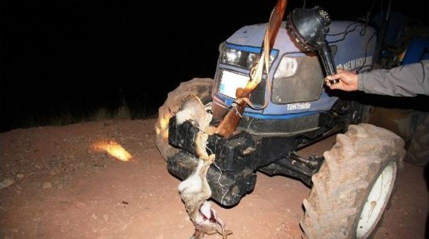 Karaman&rsquo;da Far Avına Ceza