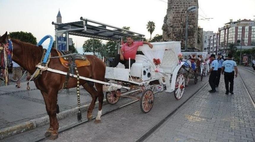 Antalya B&uuml;y&uuml;kşehir Belediyesinden Faytonlara Y&ouml;netmelik &Ccedil;alışması