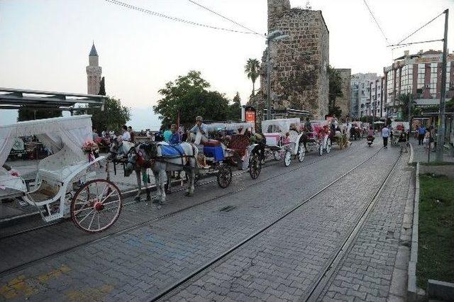 Antalya Büyükşehir Belediyesinden Faytonlara Yönetmelik Çalışması