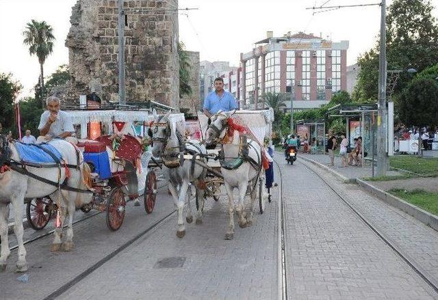 Antalya Büyükşehir Belediyesinden Faytonlara Yönetmelik Çalışması