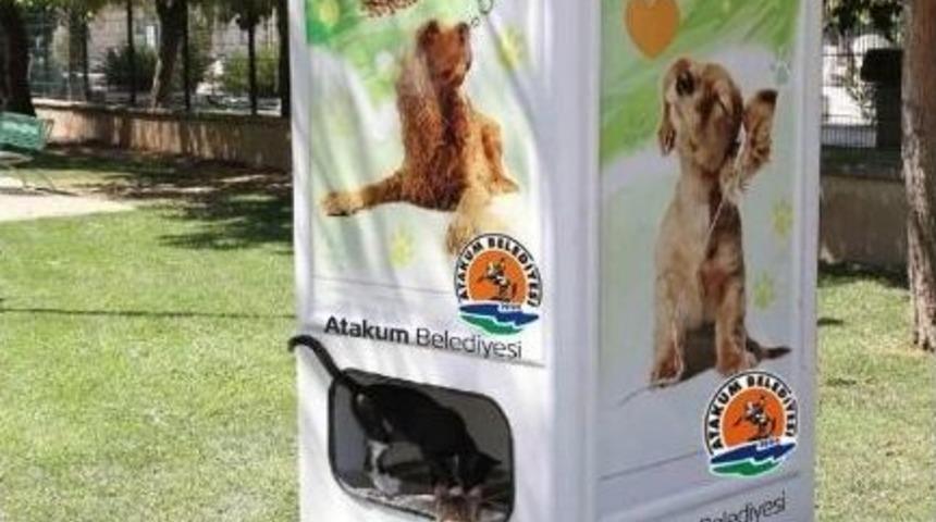 Atakum&rsquo;da Sokak Hayvanları İ&ccedil;in Mamamatik