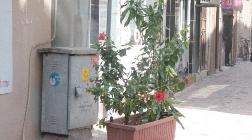 Elektrik Panosu Alev Aldı