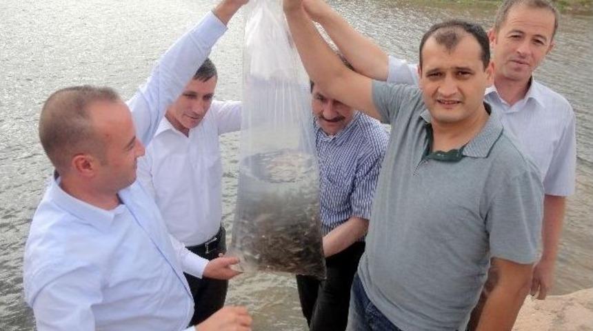 Ak Partili Milletvekili &Uuml;r&uuml;n&rsquo;den Balıklandırma Programına Destek