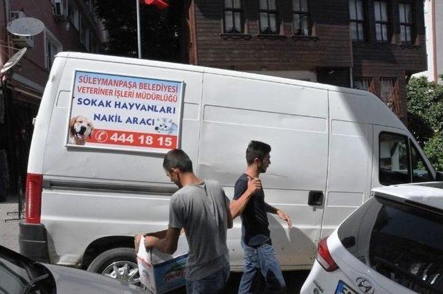 Yaralı Güvercine Süleymanpaşa Belediyesi Sahip Çıktı