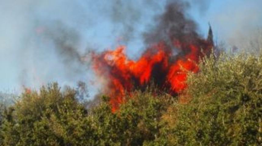 S&ouml;ke&rsquo;de Yangın Paniğe Neden Oldu