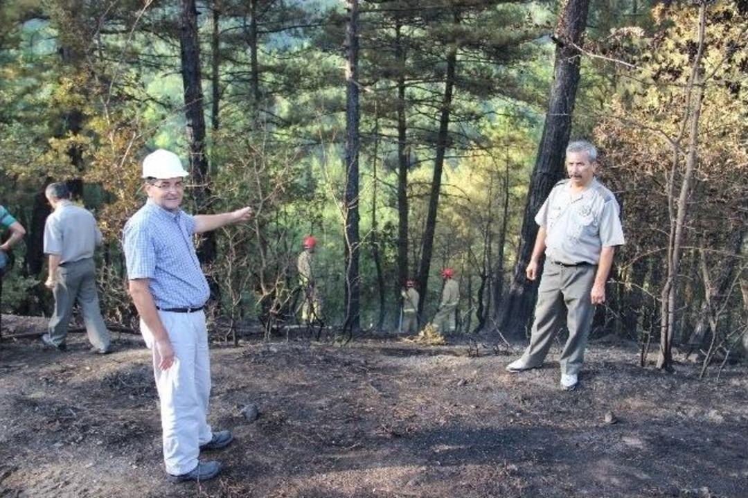 &Ccedil;an&rsquo;da Orman Yangını