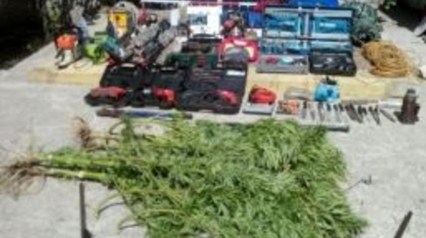 Şaşkın Hırsız Karısını D&ouml;v&uuml;nce Yakalandı