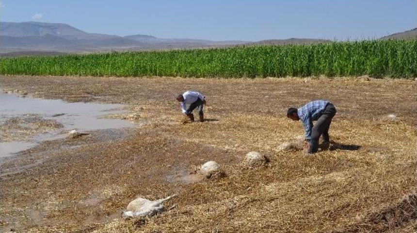 &Ccedil;ift&ccedil;ileri Sel Vurdu