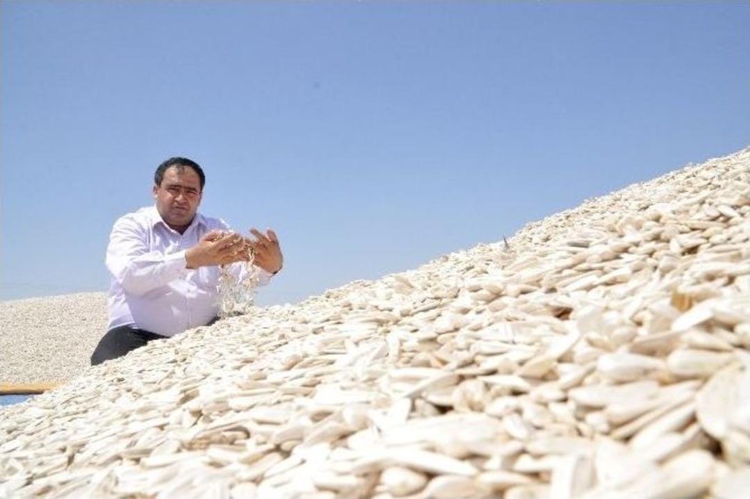 (&ouml;zel Haber) Aksaray Ay &Ccedil;ekirdeğinde Markalaşıyor