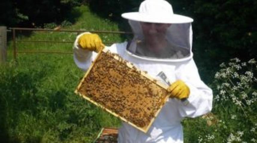 Ordu’da Bal Üretimi Düşecek
