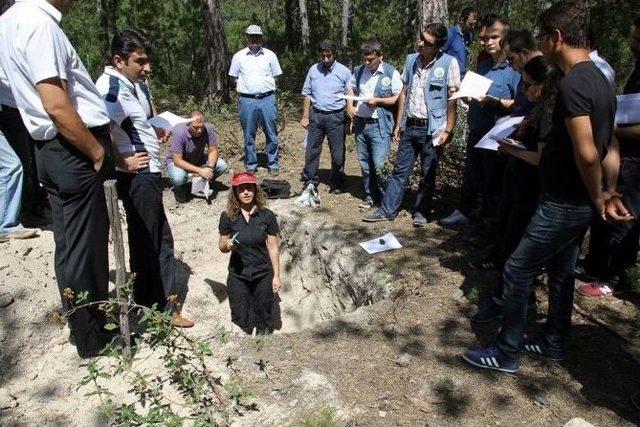 Eskişehir Ormanlarının Gelecek 20 Yılı Planlanıyor