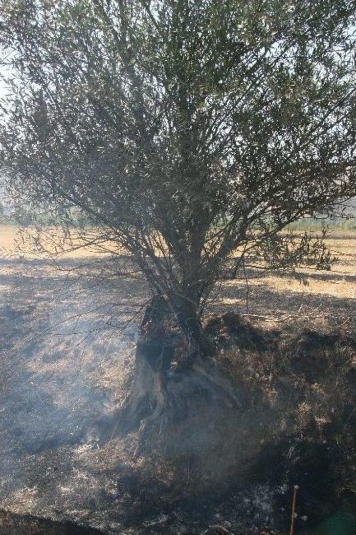 Afyonkarahisar’da Arazi Yangını G5