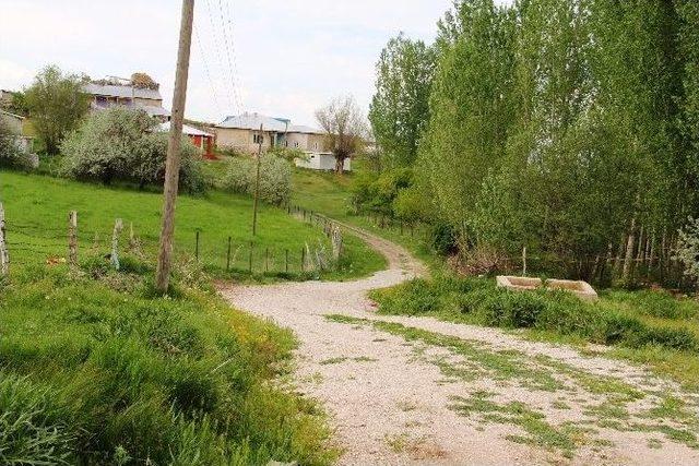 Tuşba Belediyesi’nden Hummalı Çalışma