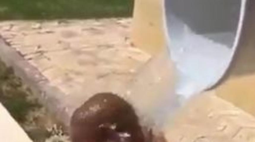 Roberto Carlos&rsquo;tan Als Hastalarına Destek