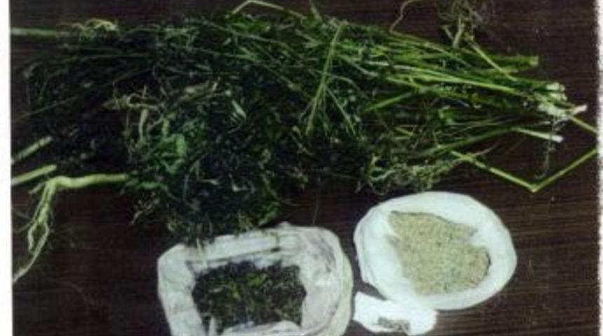 Emniyetten Uyuşturucu Operasyonu