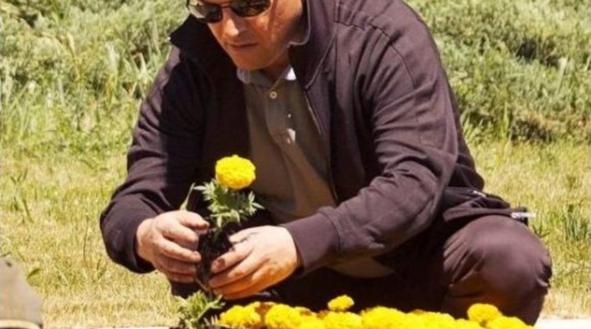 Bu Da Dikey Bah&ccedil;e!