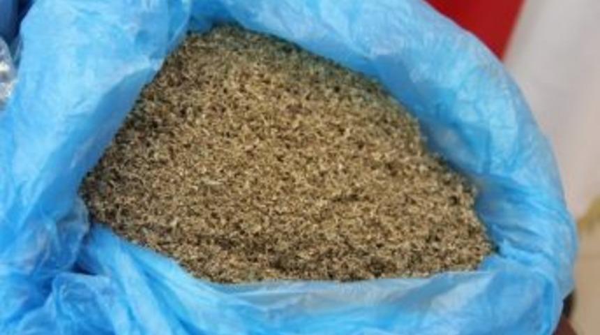 Akyazı’da 422 Gram Esrar Ele Geçirildi