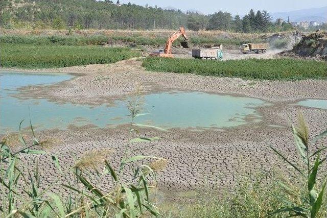 100 Bin Ton Toprağın Nakliye İşlemleri Başladı