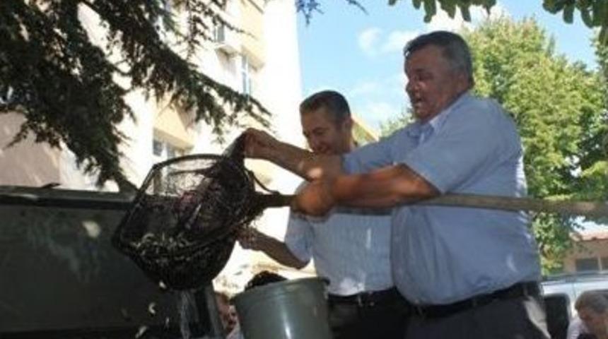 Kırklareli&rsquo;de Balıklandırma &Ccedil;alışmaları