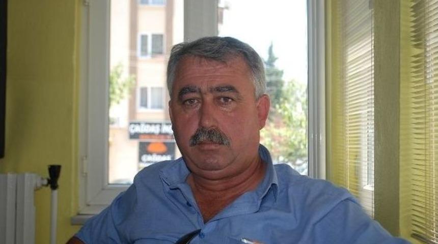 Çerkezköy’de Ayçiçeği Alımları Başladı