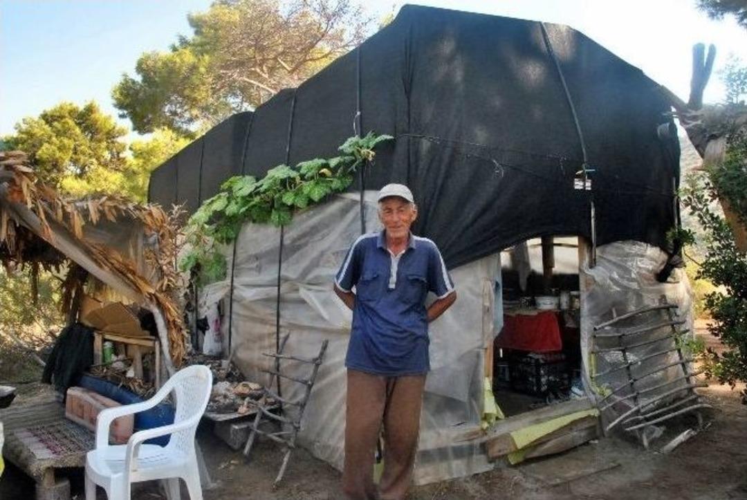 (&ouml;zel Haber) Survivor Hayatını Değiştirdi